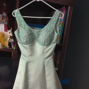 Alyce Designs size 2 formal gown